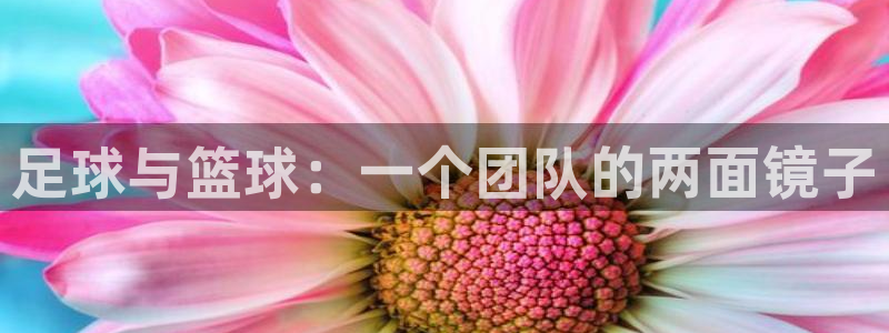betway西汉姆：足球与篮球：一个团队的两面镜子