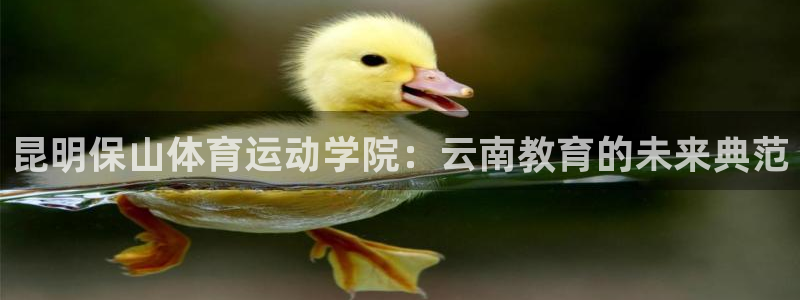 必威betway西汉姆联：昆明保山体育运动学院：云南教育的未来典范