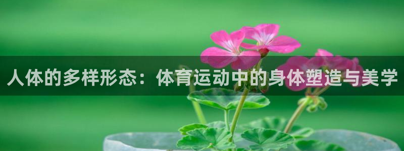 betway西汉姆联官网：人体的多样形态：体育运动中的身体塑造与美学