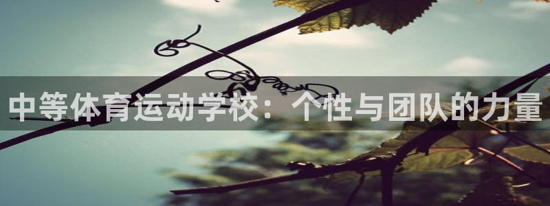 betway西汉姆：中等体育运动学校：个性与团队的力量