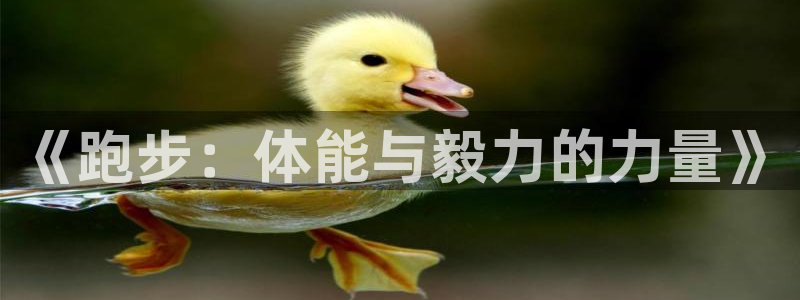 betway西汉姆：《跑步：体能与毅力的力量》