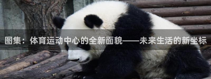 必威betway西汉姆联：图集：体育运动中心的全新面貌——未来生活的新坐标
