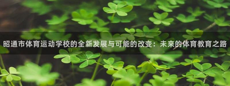 betway西汉姆官网：昭通市体育运动学校的全新发展与可能的改变：未来的体育教育之路